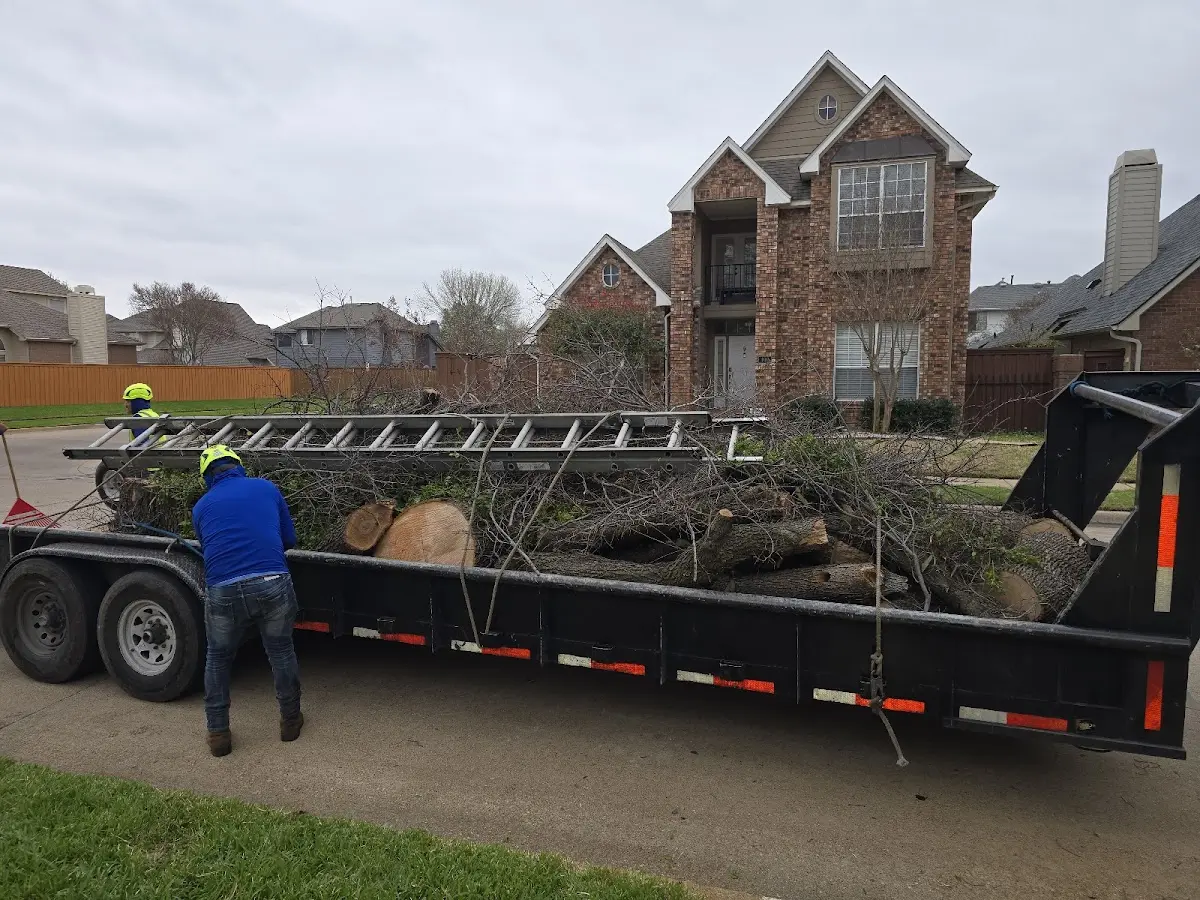 Expert Tree Removal with proper safety equipment in West Point